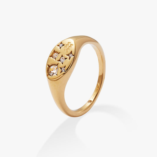 Aquarius Zodiac Ring - Hello Beautiful BoutiqueRingsALEX AND ANI