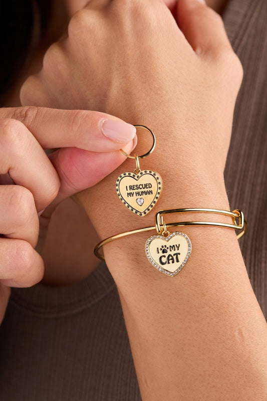 'I Love My Cat' Bangle & Pet Collar Charm Set of 2 - Hello Beautiful BoutiqueBraceletsALEX AND ANI