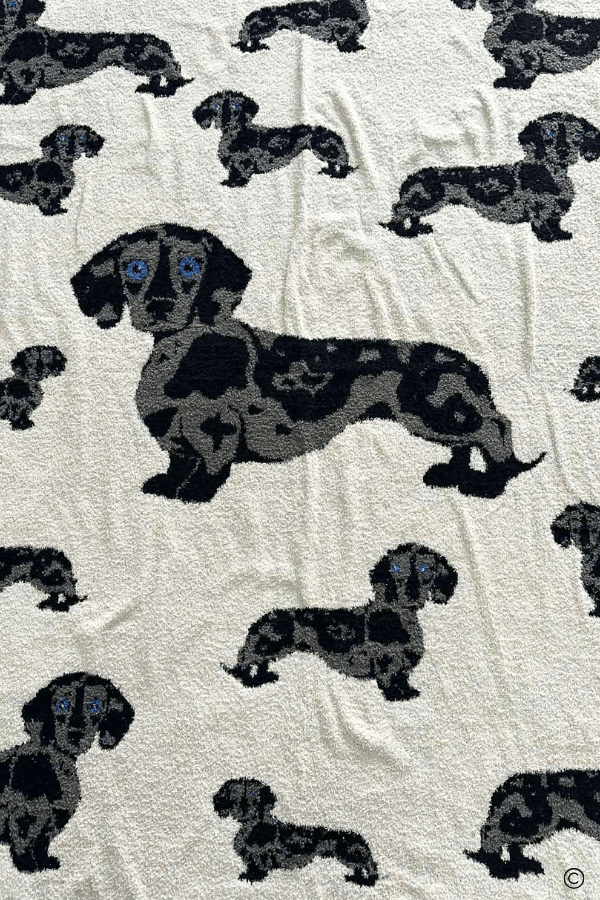 SC - ETA 7/15 - The Chloe Blanket© - Hello Beautiful BoutiqueWS 600 AccessoriesNash Grey Wholesale