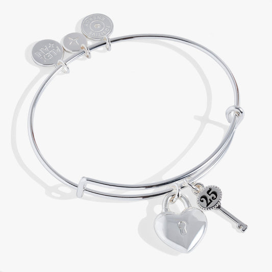 25th Anniversary Bangle - Hello Beautiful BoutiqueBraceletsALEX AND ANI