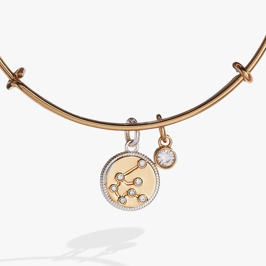 Aquarius Zodiac Charm Bangle - Hello Beautiful BoutiqueBraceletsALEX AND ANI