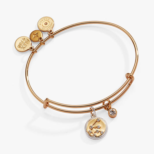 Aquarius Zodiac Charm Bangle - Hello Beautiful BoutiqueBraceletsALEX AND ANI