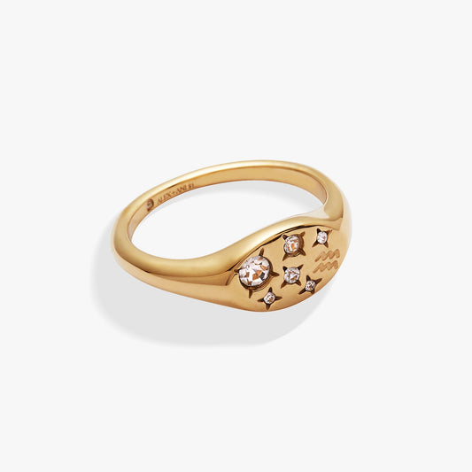 Aquarius Zodiac Ring - Hello Beautiful BoutiqueRingsALEX AND ANI