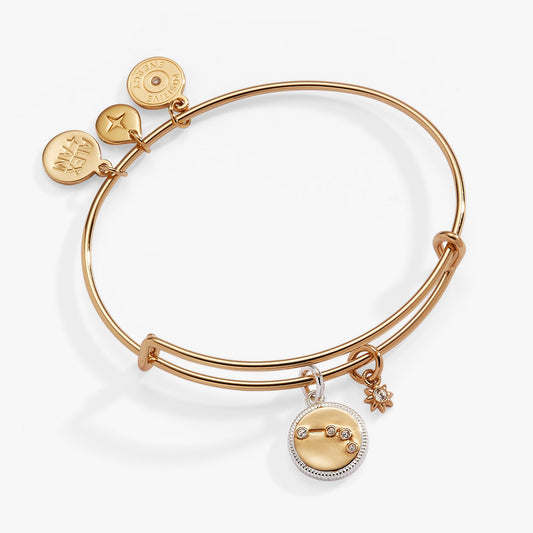 Aries Zodiac Charm Bangle - Hello Beautiful BoutiqueBraceletsALEX AND ANI