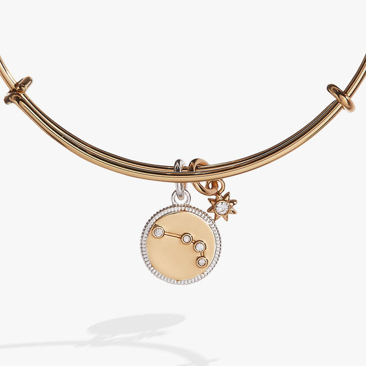 Aries Zodiac Charm Bangle - Hello Beautiful BoutiqueBraceletsALEX AND ANI