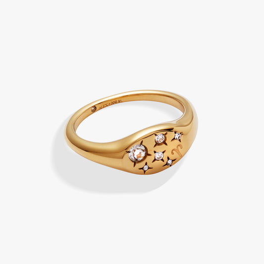 Aries Zodiac Ring - Hello Beautiful BoutiqueRingsALEX AND ANI