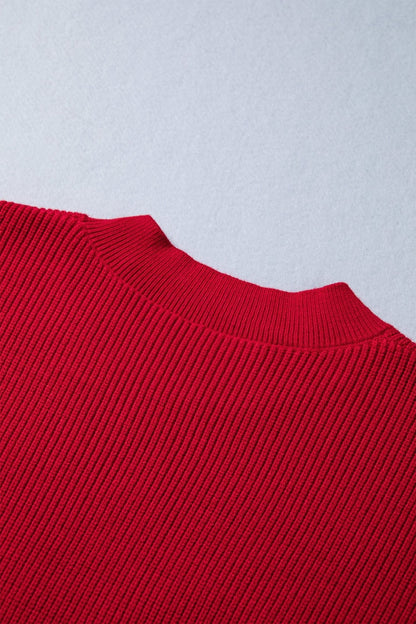 Arya Embroidered Graphic Ribbed Sweater - Hello Beautiful BoutiqueSweatersThreaded Pear