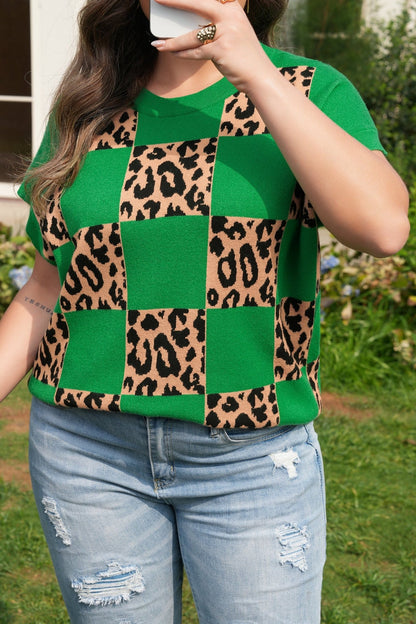 Cattleya Checkered Short Sleeve PLUS Sweater - Hello Beautiful BoutiquePlus Size Sweaters & CardigansThreaded Pear