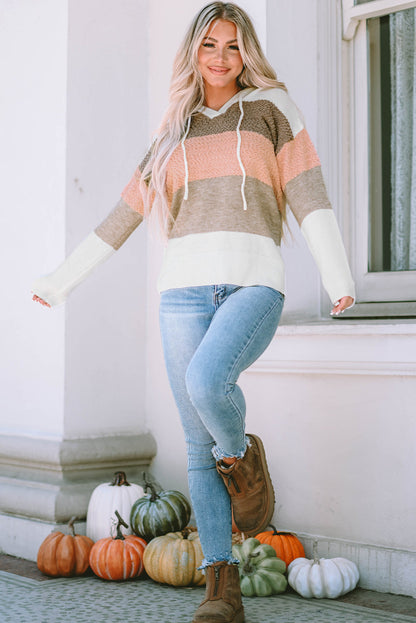 Parker Knitted Drawstring Hooded Sweater