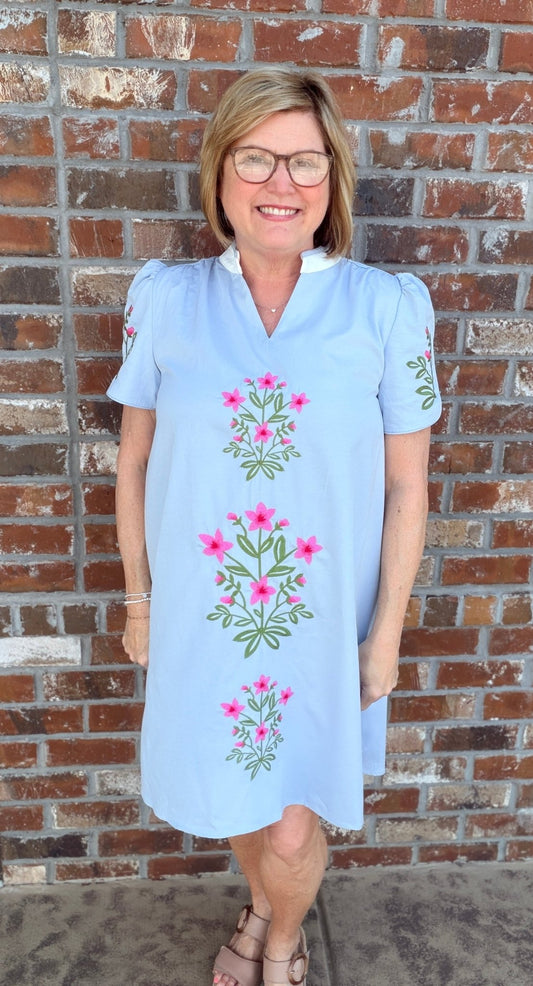Floral Embroidered V - Neck Dress with Contrasting Stripe Details - Hello Beautiful BoutiqueDressGigio