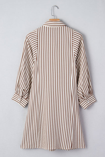 Hanna Sleeve Down Mini Shirt - Hello Beautiful BoutiqueMini DressesThreaded Pear