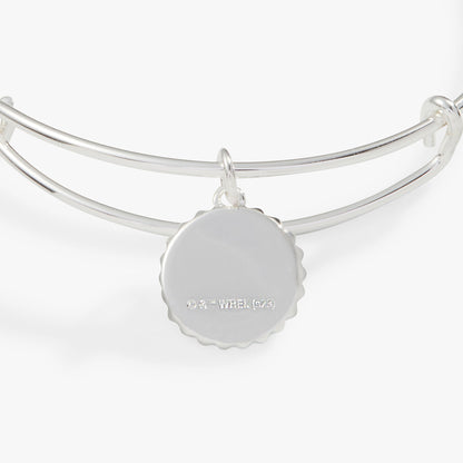 Harry Potter™ Slytherin House Charm Bangle - Hello Beautiful BoutiqueBraceletsALEX AND ANI