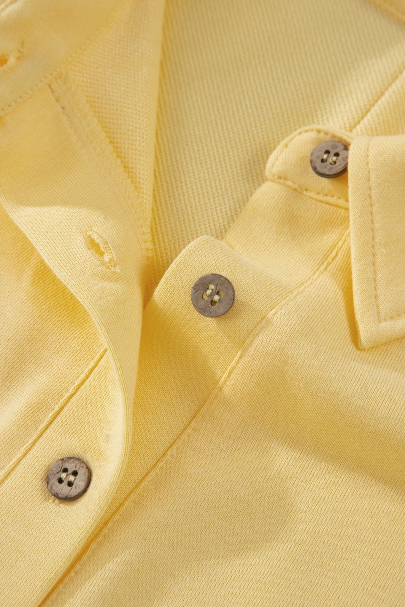 Legacy Solid Color Polo PLUS Tee - Hello Beautiful BoutiquePlus Size LoungewearThreaded Pear