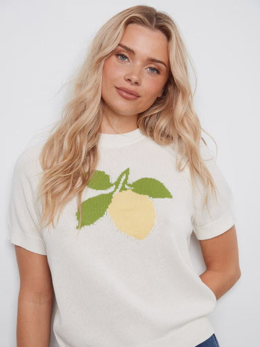 Raglan Crew Sweater C2972 - 577 - Hello Beautiful BoutiqueTopCharlie B