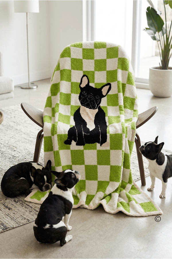 SC - ETA 6/30 - Walter Wiggles Check Blanket© - Hello Beautiful BoutiqueWS 600 AccessoriesNash Grey Wholesale