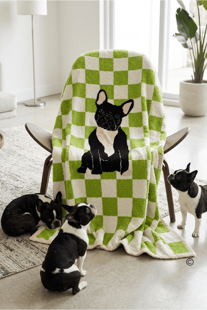 SC - ETA 6/30 - Walter Wiggles Check Blanket© - Hello Beautiful BoutiqueWS 600 AccessoriesNash Grey Wholesale