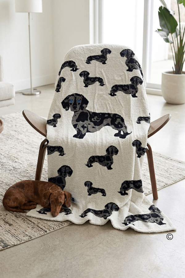 SC - ETA 7/15 - The Chloe Blanket© - Hello Beautiful BoutiqueWS 600 AccessoriesNash Grey Wholesale
