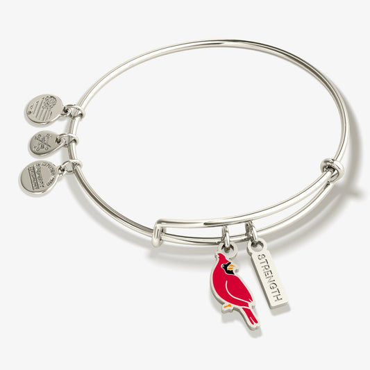 'Strength' Cardinal Duo Charm Bangle Bracelet - Hello Beautiful BoutiqueBraceletsALEX AND ANI