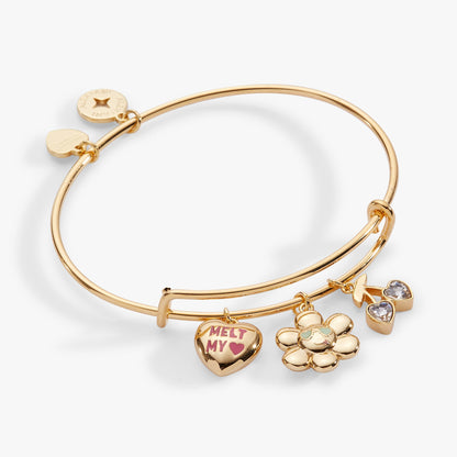 Sweethearts® 'Melt My Heart' Multi Charm Bangle - Hello Beautiful BoutiqueBraceletsALEX AND ANI