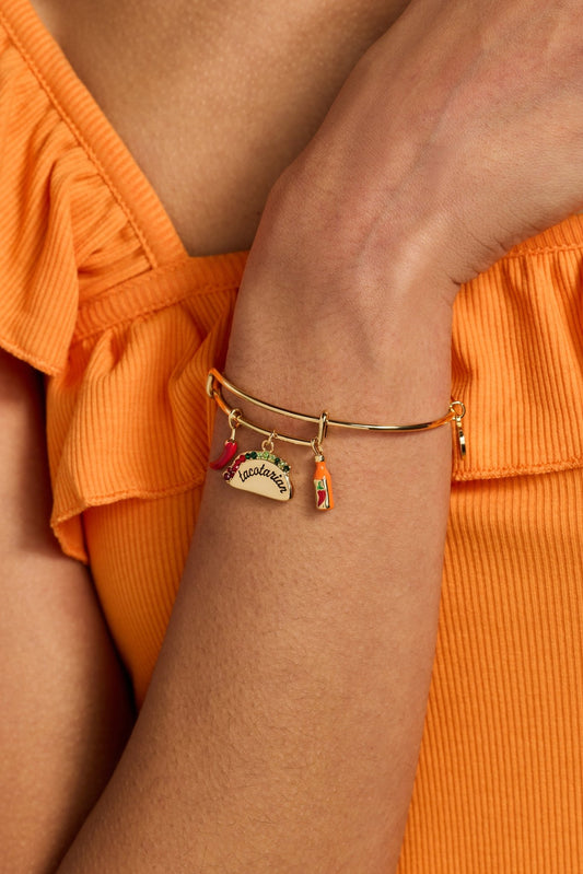'Tacotarian' Multi Charm Bangle - Hello Beautiful BoutiqueBraceletsALEX AND ANI